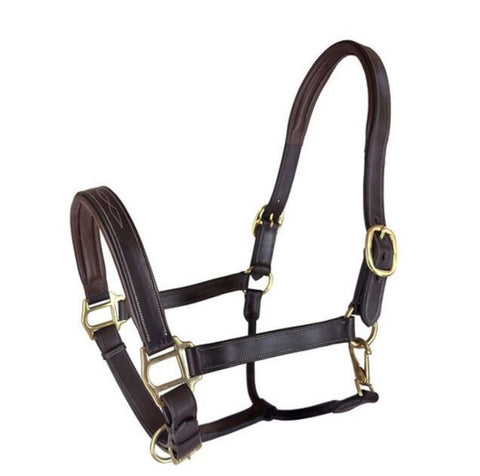 RHC Padded Leather Halter with Fancy Stitch