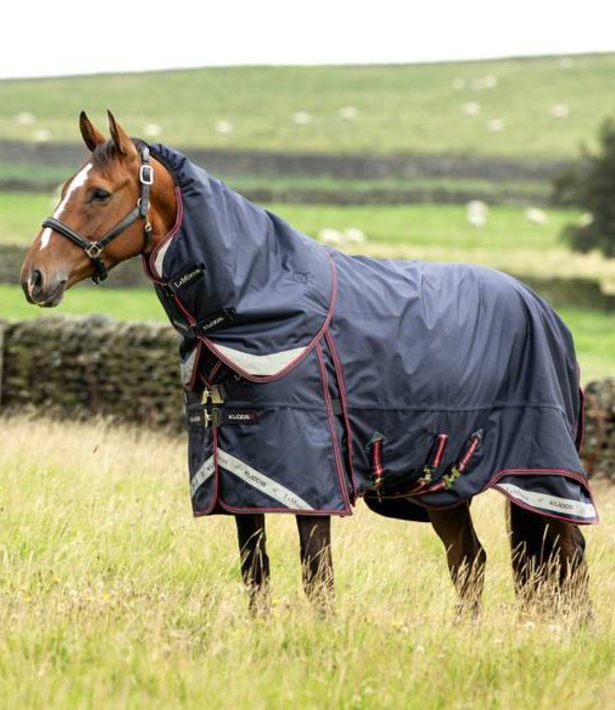 LeMieux Kudos Thermo Layer Turnout Blanket 300g