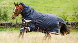 LeMieux Kudos Thermo Layer Turnout Blanket 300g