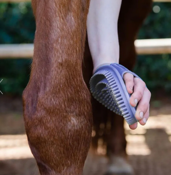 Epona Flexible Glossy Groomer Ricks Saddle Shop