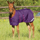 HW Amigo Foal Turnout Medium (200g)