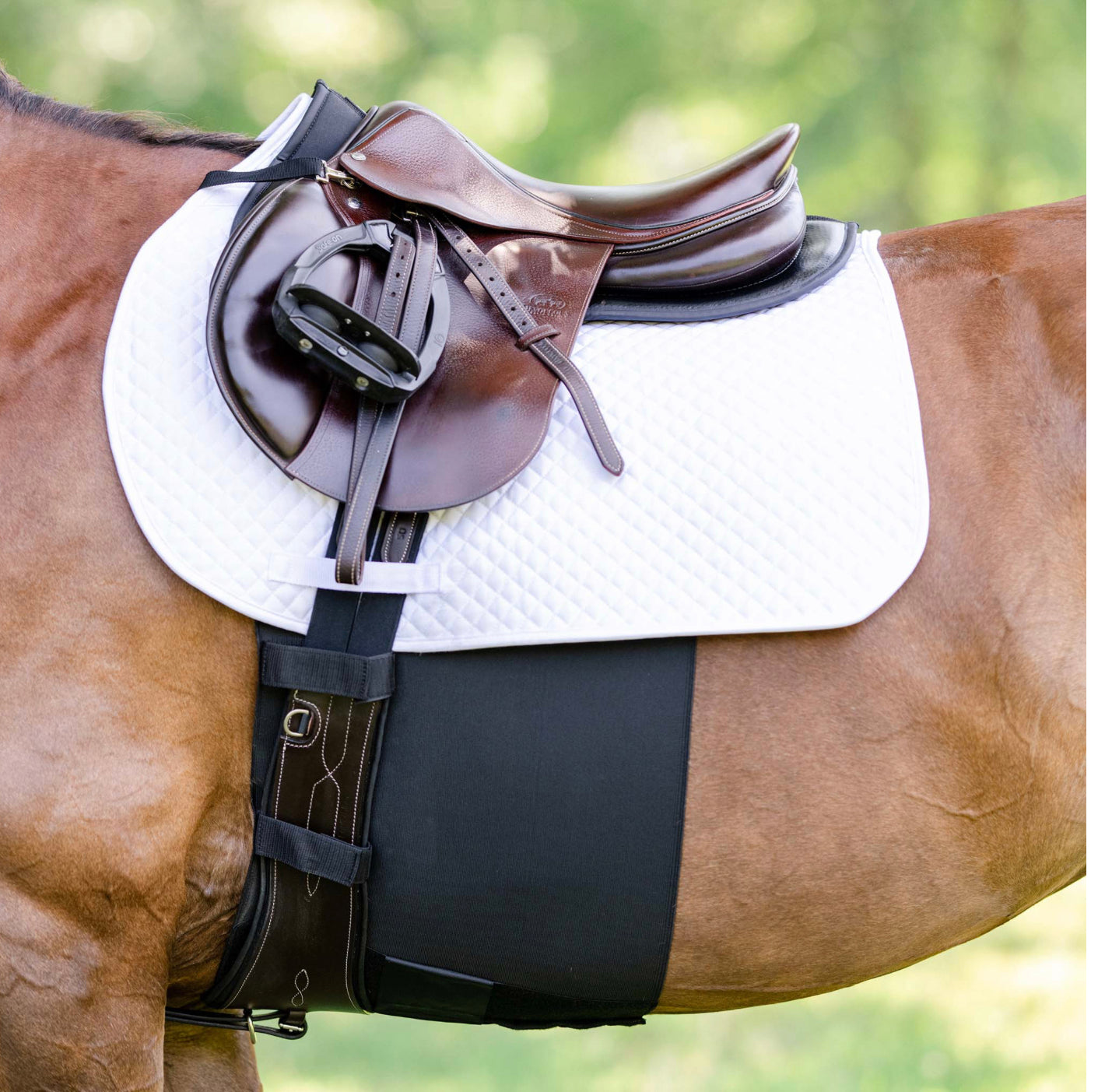 Equifit BellyBand+