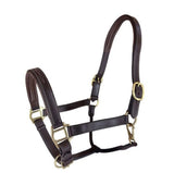 RHC Padded Leather Halter with Fancy Stitch