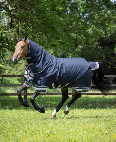 LeMieux Arika Storm-Tek Rug 200g