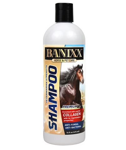 Banixx Veterinary Strength Shampoo