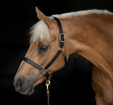 Perri's Turnout Halter