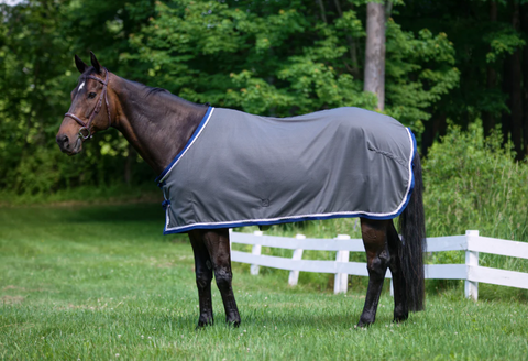 Oasis Summer Dress Sheet from Saratoga Horseworks