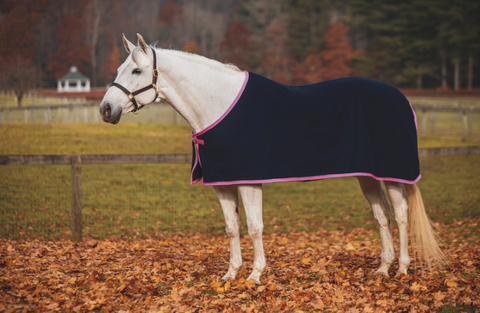 Jack's Coolerfleece Dress Sheet