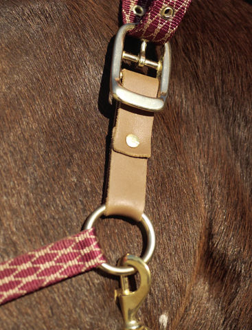 Centaur Leather Breakaway Fuse