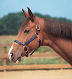 Weaver Breakaway Halter