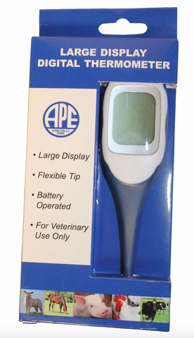 Large Display Digital Thermometer