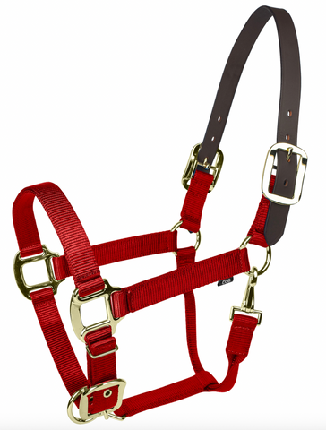 Gatsby Gold Nylon Breakaway Halter
