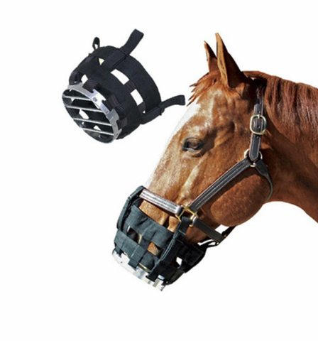 Best Friend Cribbing Muzzle