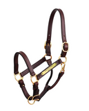 Perri's Show Halter w/ Plate
