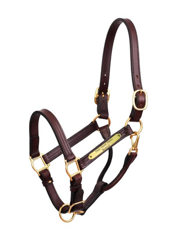Perri's Show Halter w/ Plate
