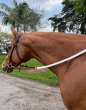 DziaSport Easy-Clip Rubber Reins