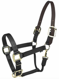Gatsby Gold Nylon Breakaway Halter