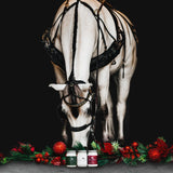 Carriage Ride Soy Candle - Holiday Collection 11 oz