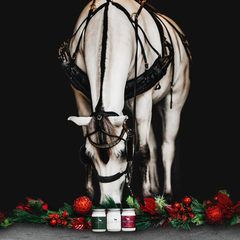 Carriage Ride Soy Candle - Holiday Collection 11 oz