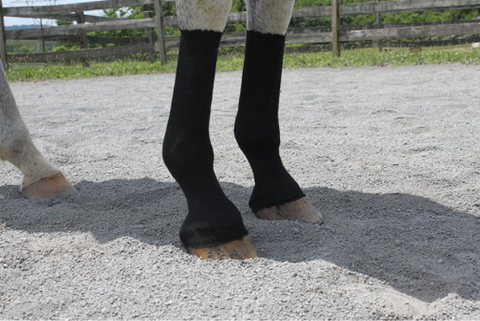 Equifit HorseSox